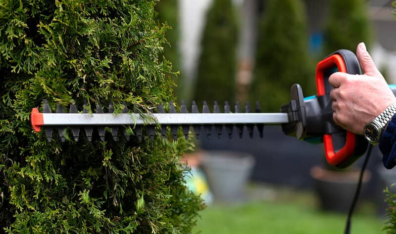Can You Use a Pole Saw as a Hedge Trimmer