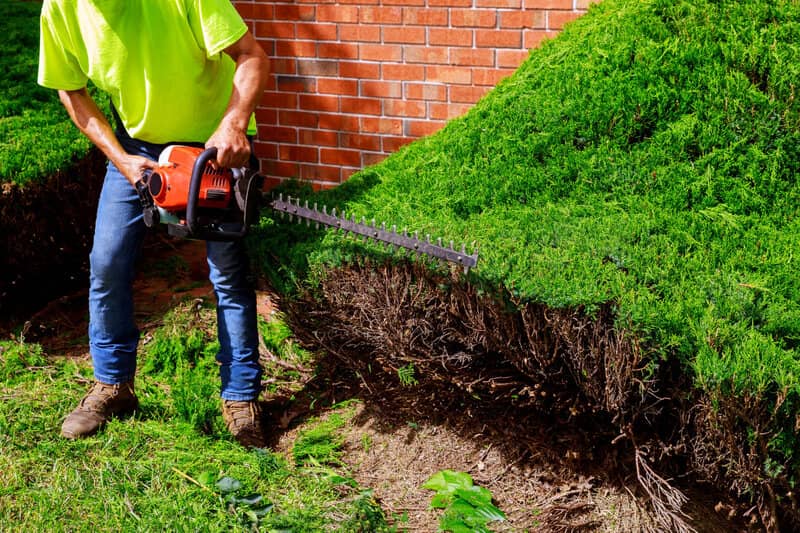 What Can You Do With a Hedge Trimmer