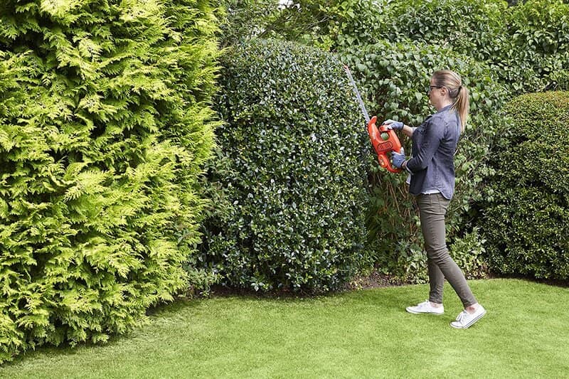 best cheap hedge trimmers UK