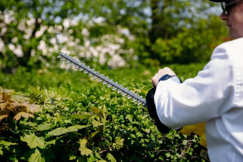 how to use hedge trimmer
