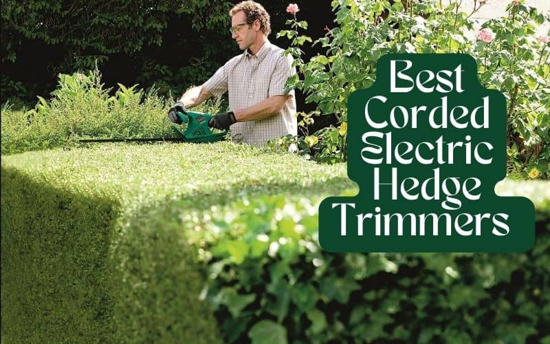corded electric hedge trimmers UK